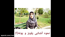 پرویز و پونه ورژن ایرانی