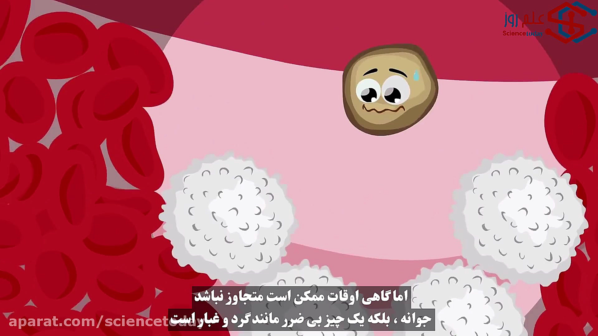 سیستم ایمنی بدن چطور با بیماری مقابله می‌کند؟[زیرنویس فارسی] لیپوست