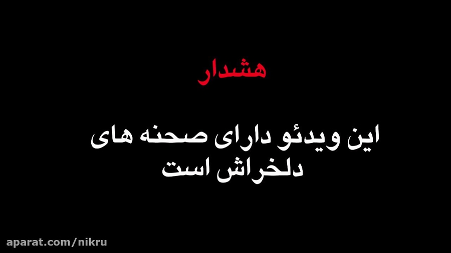 کشف یک آزمایشگاه شکنجه حیوانات...