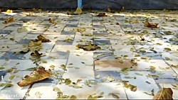 [ حجاب ]زیباترین کلیپ های مذهب...