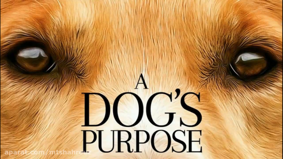 فیلم سرگذشت یک سگ A Dog's Journey 2019 زمان6346ثانیه