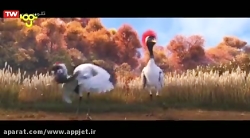 انیمیشن اردک اردک غاز