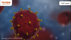 ویروس کرونا و راه های پیشگیری...