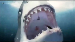 گلچینی از صحنه های مبارزه و شک...