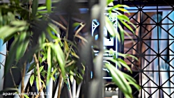 تیزر تبلیغاتی کافه دنجا