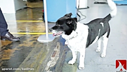 کمپانی کنوت آلمان و تجهیزات تر...