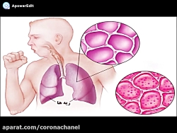 ویروس کرونا|آنچه باید درباره و...