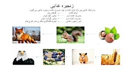 تدریس فصل ۱۲ علوم ششم. توسط شر...