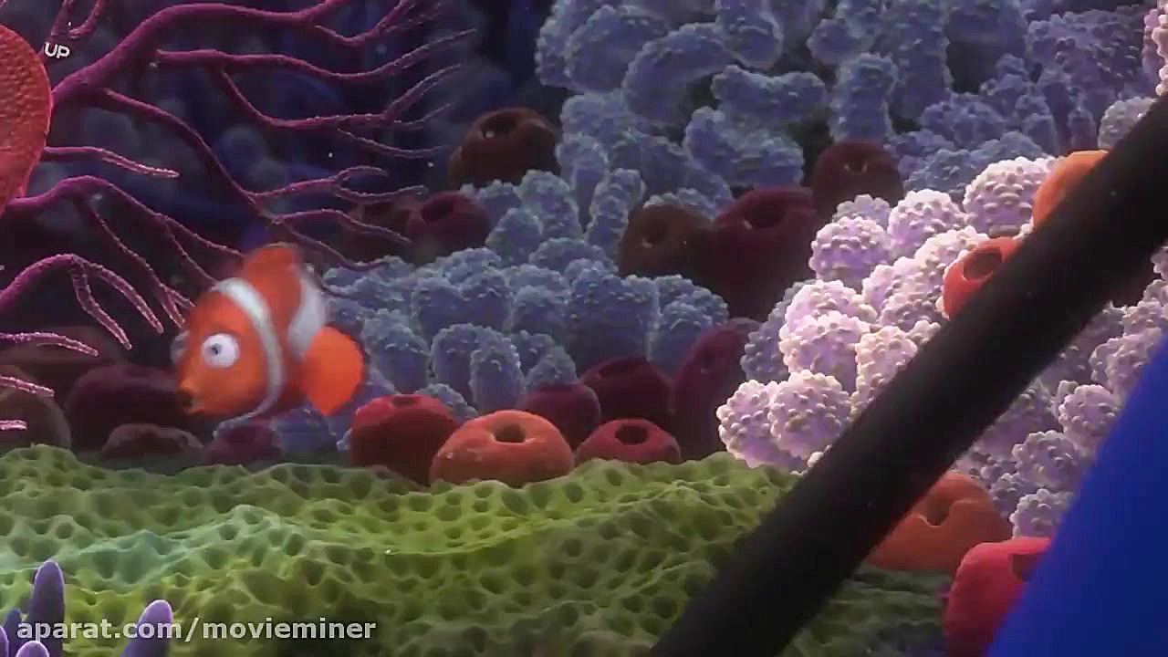 انیمیشن سینمایی در جستجوی نمو (دوبله فارسی) | Finding Nemo 2003 زمان6038ثانیه