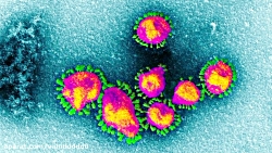 ویروس کرونا چیست و چگونه باید...