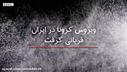 ویروس کرونا در ایران، آنچه تا...