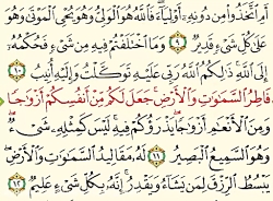 تلاوت و قرائت قرآن همزمان با ن...