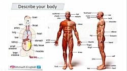 20-At the doctor's office  Bod...