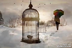 اسیر روزهای سرد سالم،مینا آقاز...