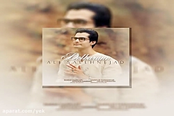 آهنگ علی صالح نژاد به نام دلبر...