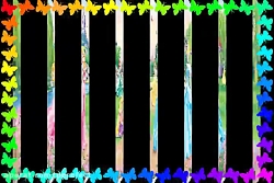 زیباترین عکس های سیندرلا