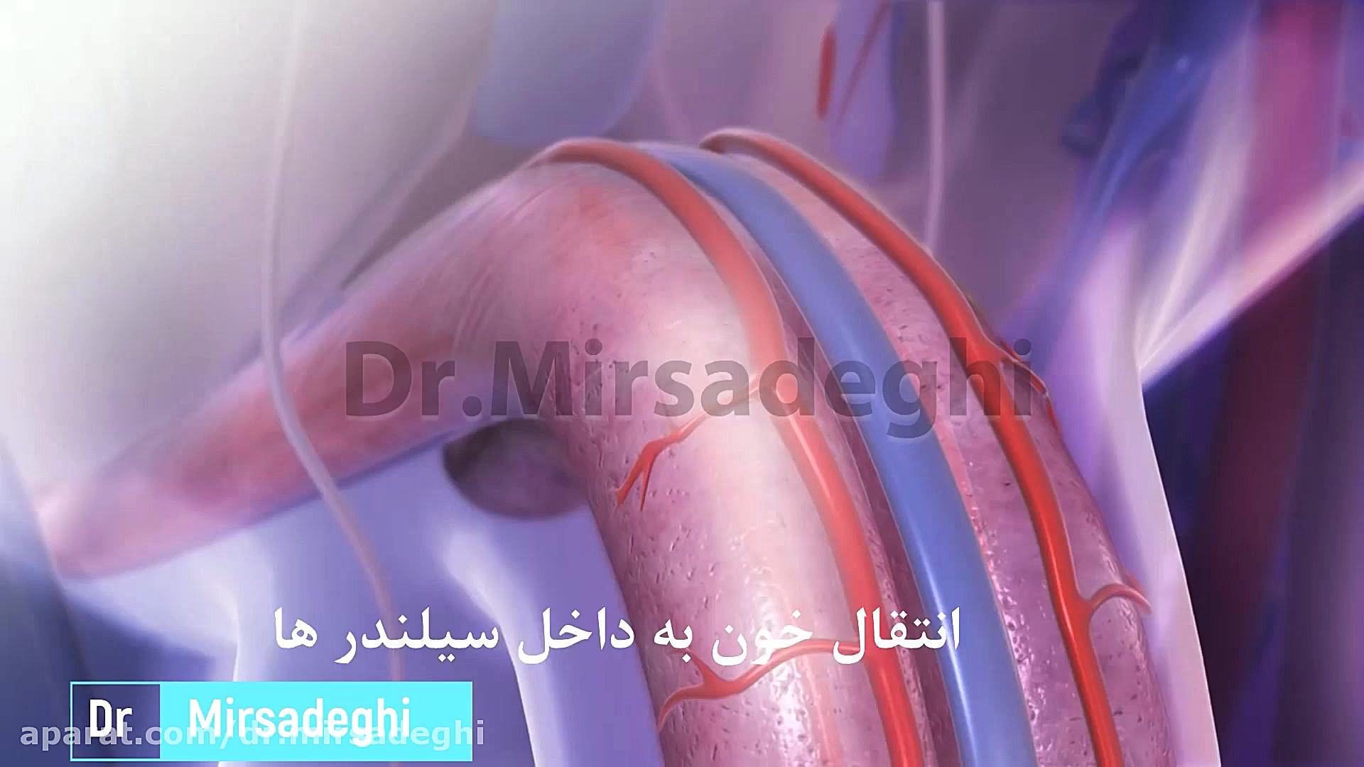 دیابت و عدم نعوظ کلینیک پوست