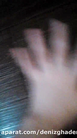 حیوان خانگی من