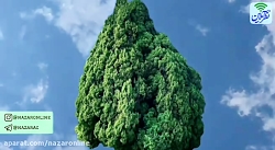 منظر ایرانی، سرو جاویدان