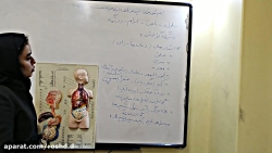 بدن ما علوم چهارم قسمت اول- پی...