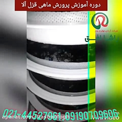 دوره تخصصی آموزش پرورش ماهی قز...