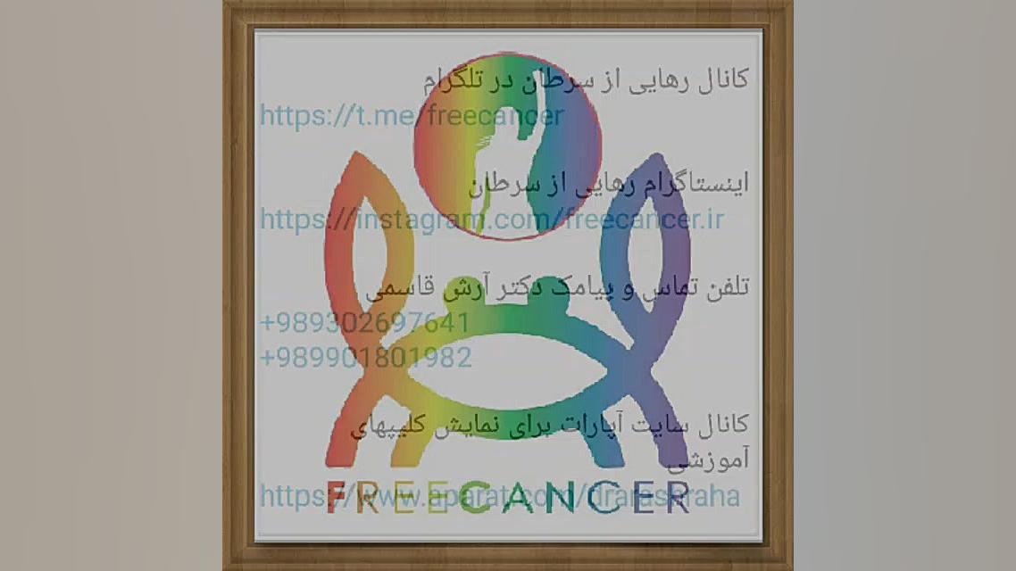 منابع غذایی برای افزایش تعداد گلبولهای سفید (WBC) پرت و پلا
