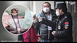 منشا ویروس کرونا این غذای عجیب...