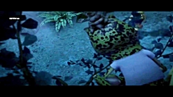 انیمیشن سینمایی کمدی لاک پشت ه...