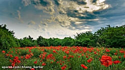 رضا صادقی  عاشقی یکطرفه