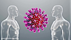 ویروس کرونا چگونه به بدن انسان...