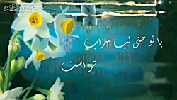 کلیپ عاشقانه امام زمان عج