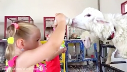 بازی های دیانا و روما با داستا...