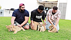 چالش خنده دار و خطرناک غذا خور...