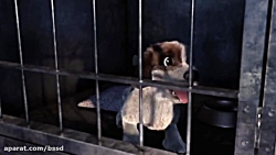 انیمیشن مرا به خانه ببر364