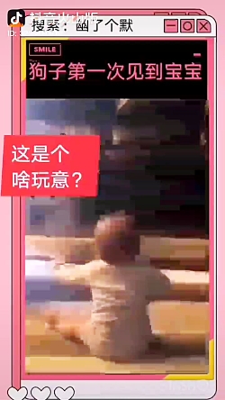 بازی، سگ با کودک