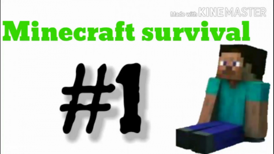 Minecraft survival mode