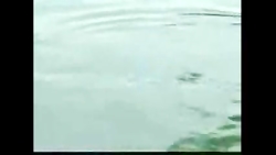 ببینید باورتون نمیشه.