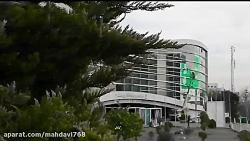 سلبریتی سفارشی (استاد رائفی پو...