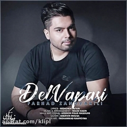 اهنگ فرهاد زندوکیلی به نام دلو...