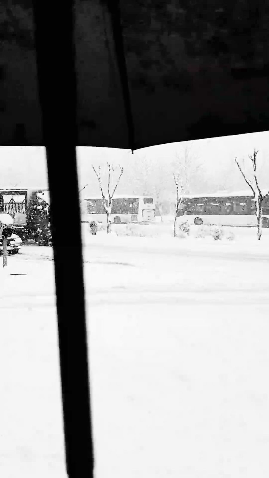 ساقی.. علیرضا قربانی محمدرضا ش...