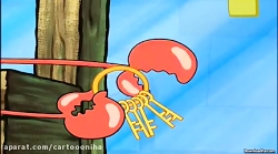 کارتون باب اسفنجی باب اسفنجی