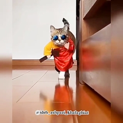 سلام خوشگلا خوبین عجب پیشی خوش...