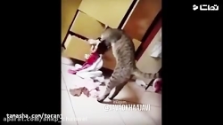 کلیپ خنده دار و طنز از جواد خو...