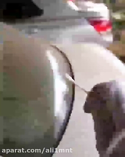 عجب نقاشی کشید رو ماشین