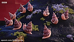 انیمیشن کوتاه (حلزون و نهنگ) د...