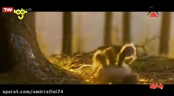 انیمیشن سینمایی کوکی | دوبله ف...