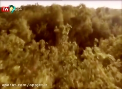 سریال| شوخی کردم قسمت 2