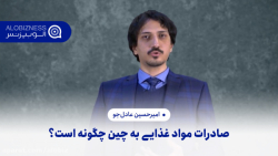 صادرات مواد غذایی به چین چگونه...