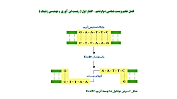 فصل هفتم زیست شناسی دوازدهم (...