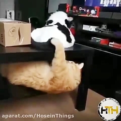 حال این روزای  زن و شوهر ااا